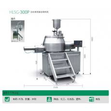 HLSG-300P自動高效濕法制粒機（混合）